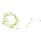 18ct. White Flowers LED String Lights by Ashland®